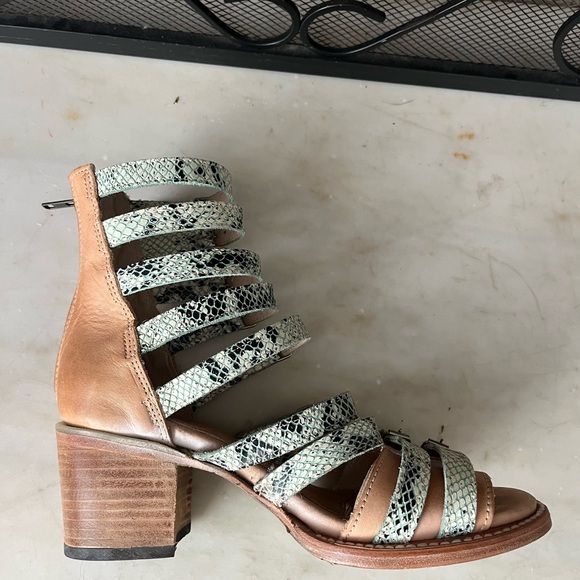 🦄RARE✨ Freebird Mint Snake Cassandra!!! - Picture 5 of 7